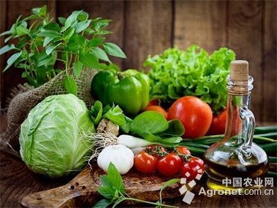 罗马生菜供应信息：上海农业保险让农民旱涝保收 绿叶菜价保持稳定