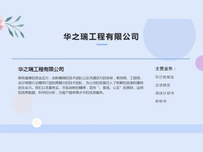 甘孜县做可行性报告写立项报告会写可行性报告的公司