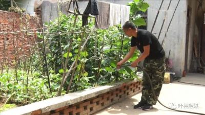 昆阳街道李国伟：扶贫路上帮一程 一枝一叶总关情