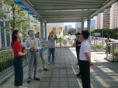 回应民生关切 代表聚焦龙珠大道环境提升
