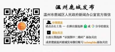 投票君拍了拍你~听你所喜，选你所爱！鹿城征集主题原创音乐作品结果公布 